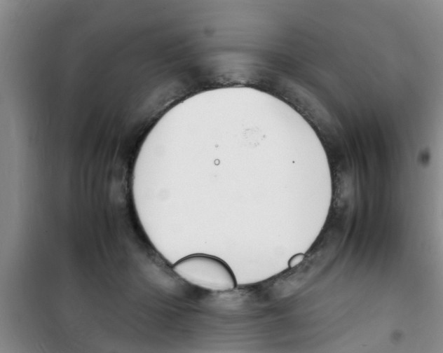 X0000100980414200807221238