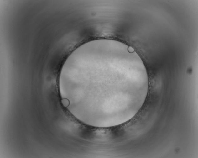 X0000100980415200807221238