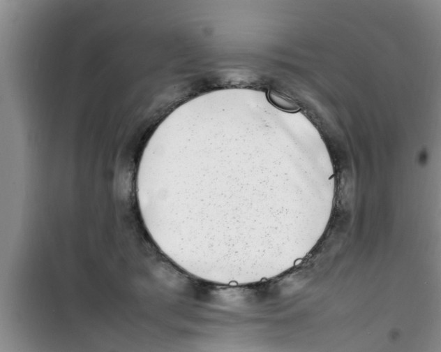 X0000100980417200807221238