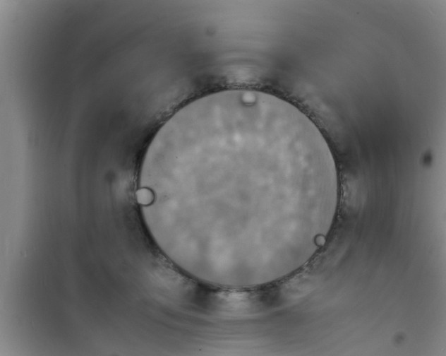 X0000100980419200807221238