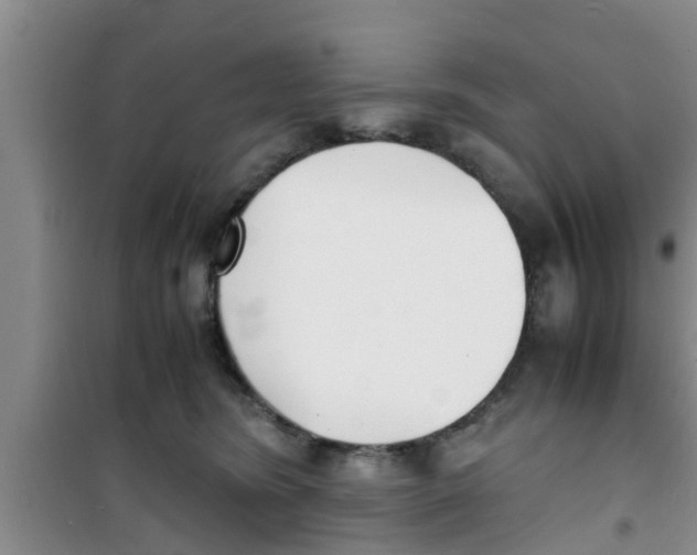 X0000100980420200807221238