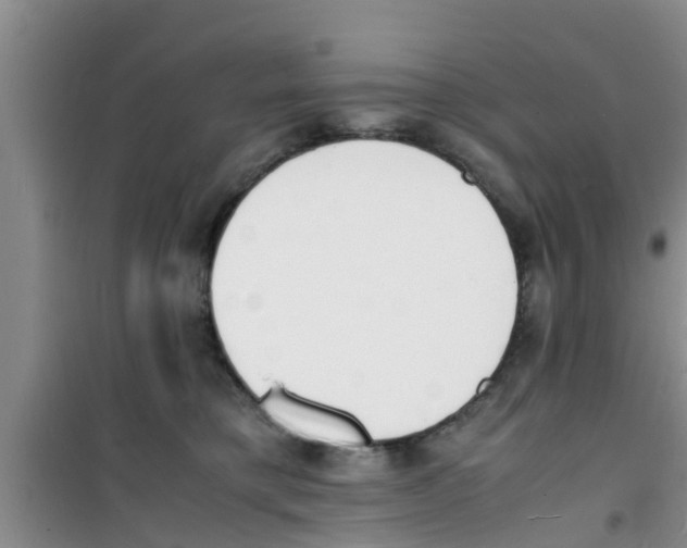 X0000100980421200807221238