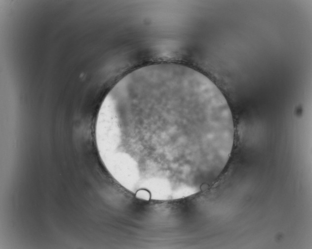 X0000100980423200807221238