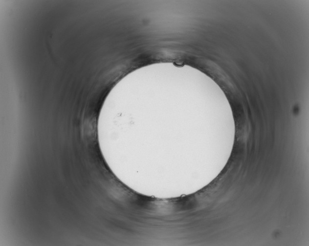 X0000100980425200807221238