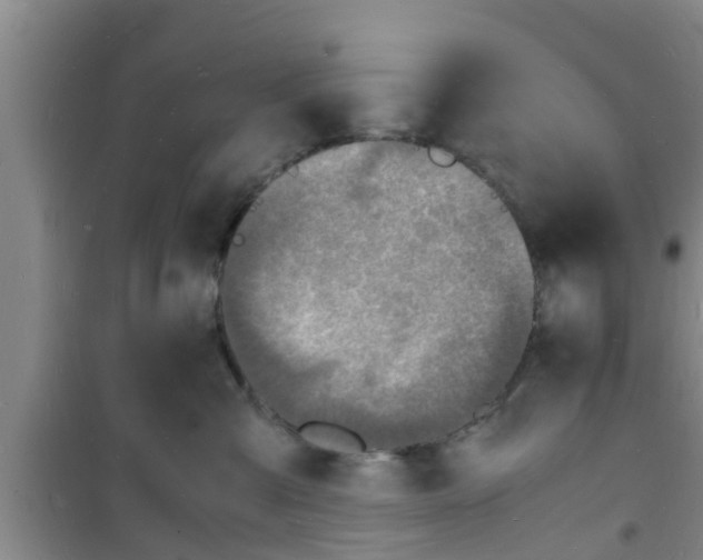 X0000100980427200807221238