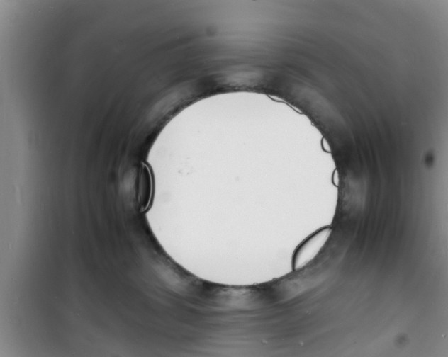 X0000100980428200807221238