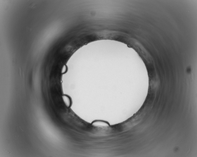 X0000100980429200807221238