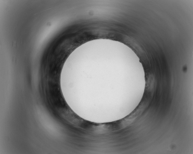 X0000100980430200807221238