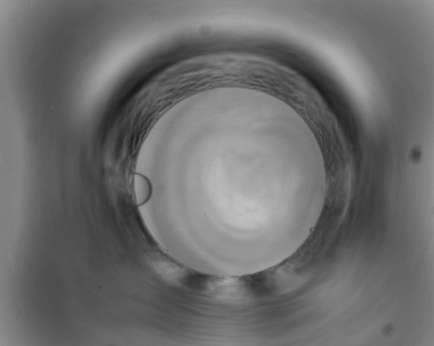 X0000100980431200807221237