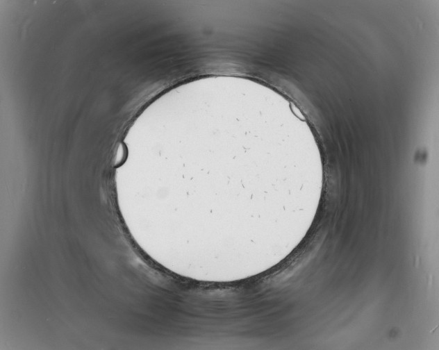 X0000100980433200807221237