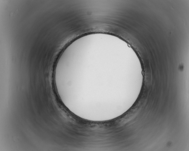 X0000100980434200807221237