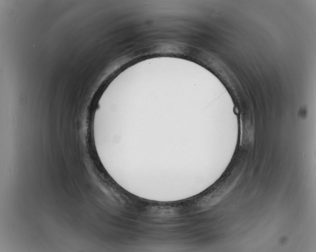 X0000100980435200807221237