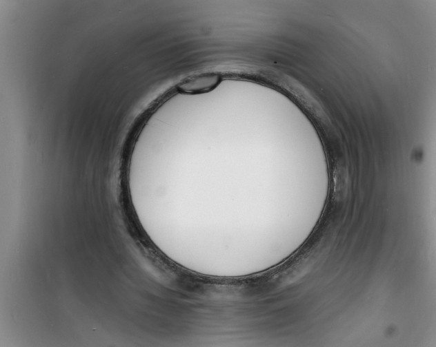 X0000100980436200807221237