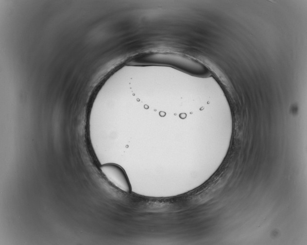 X0000100980437200807221237