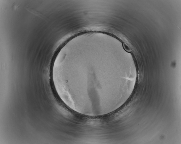 X0000100980438200807221237