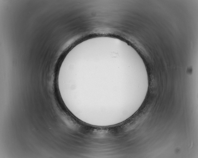 X0000100980440200807221237