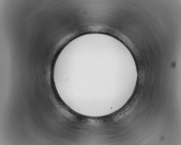 X0000100980442200807221237