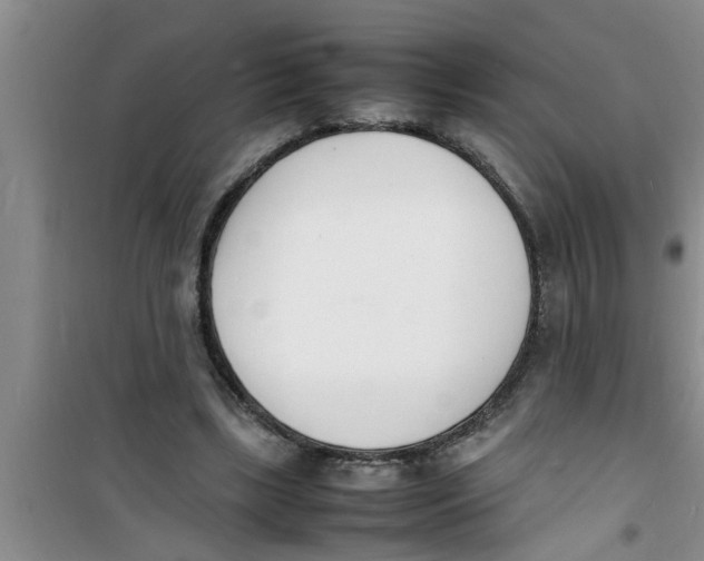 X0000100980443200807221237