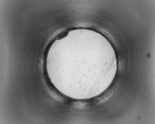 X0000100980444200807221237