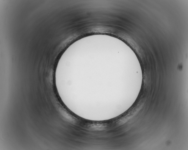 X0000100980445200807221237