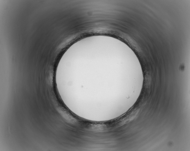 X0000100980446200807221237