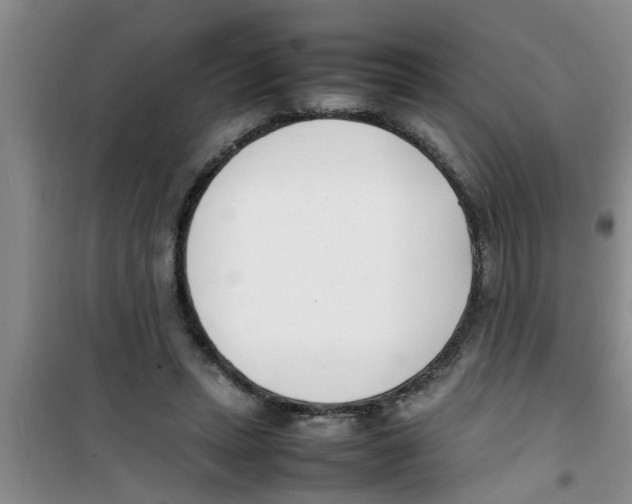 X0000100980447200807221237