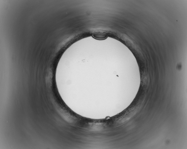 X0000100980448200807221237