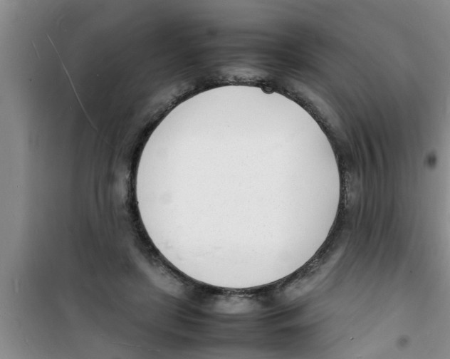 X0000100980451200807221237