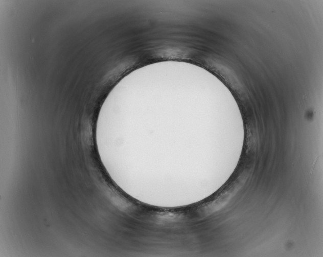 X0000100980453200807221237