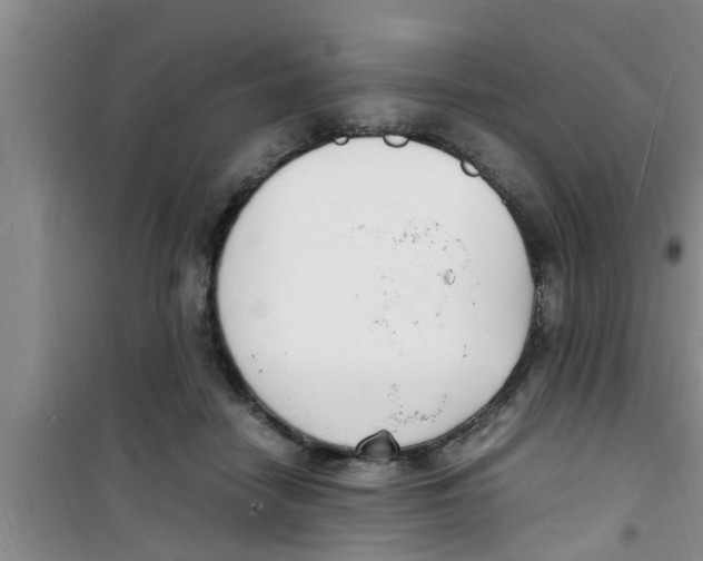 X0000100980458200807221237