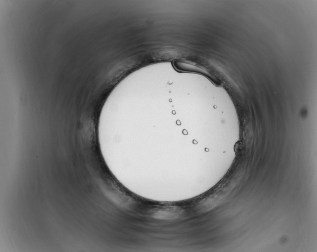 X0000100980459200807221237