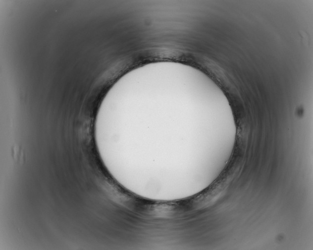 X0000100980462200807221237