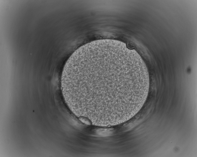 X0000100980465200807221237