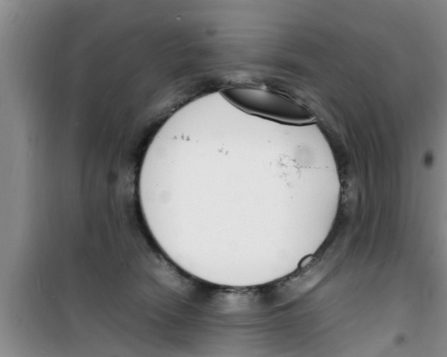 X0000100980466200807221237