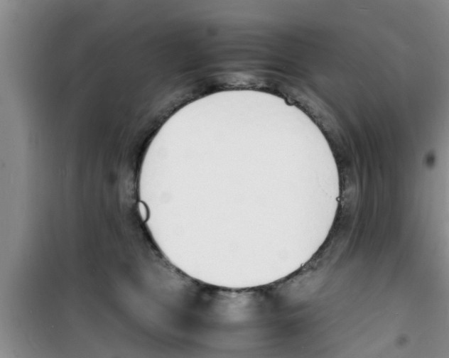 X0000100980469200807221237