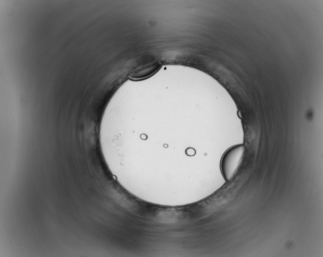 X0000100980470200807221237