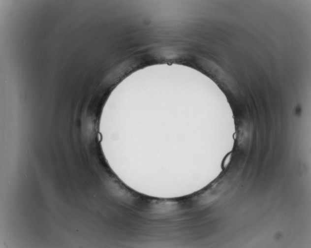 X0000100980476200807221237