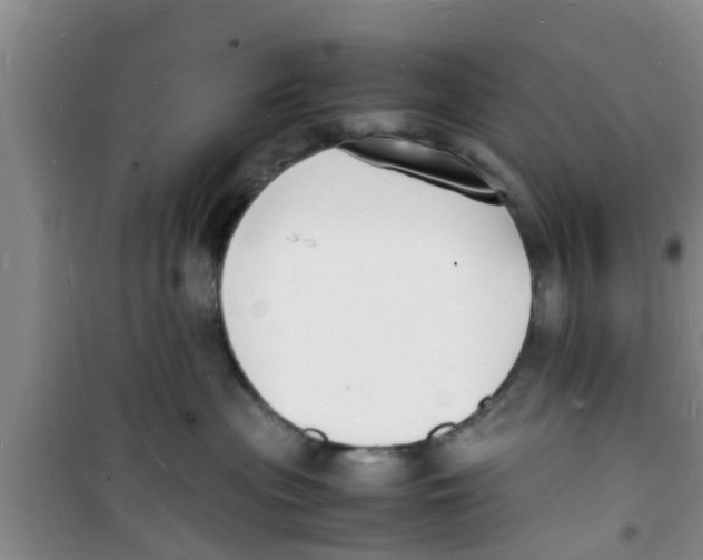 X0000100980477200807221237