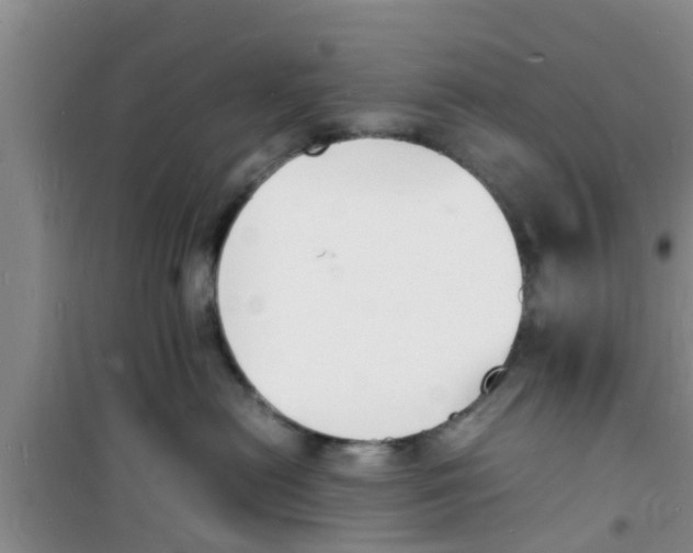 X0000100980478200807221237