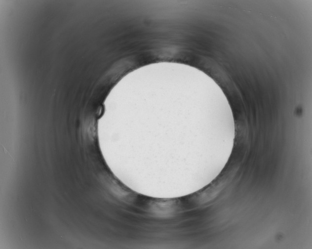 X0000100980479200807221237