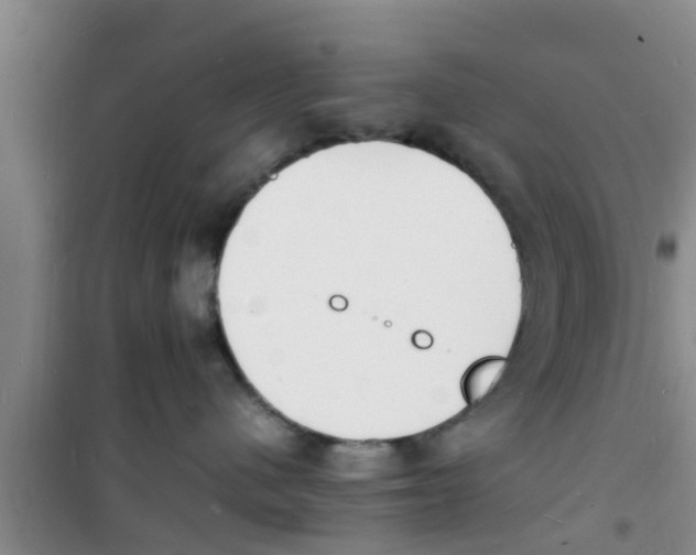 X0000100980480200807221237