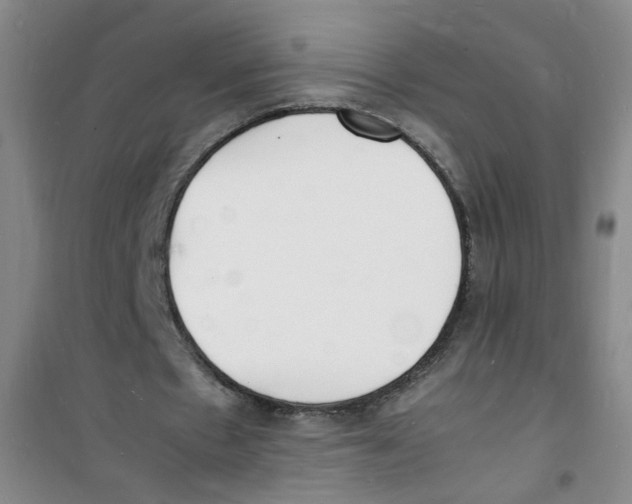 X0000100980481200807221237