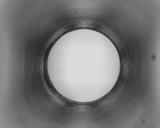 X0000100980482200807221237