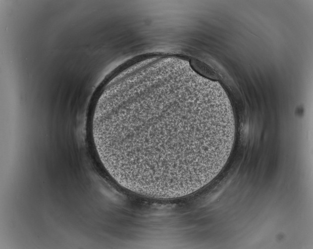 X0000100980484200807221237