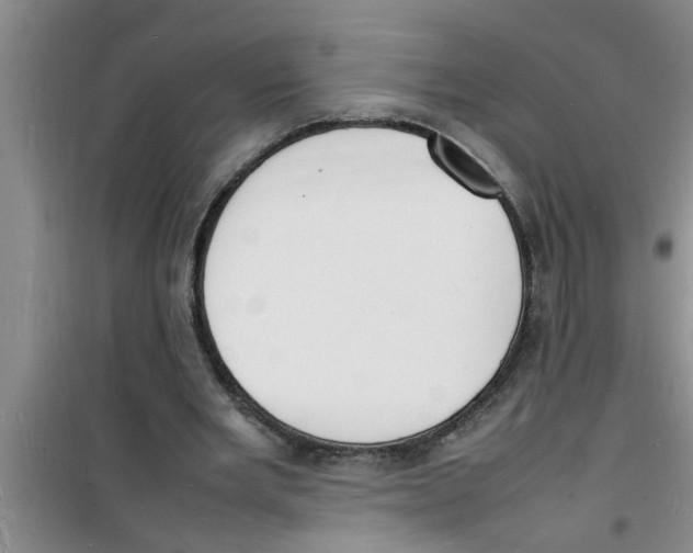 X0000100980485200807221237