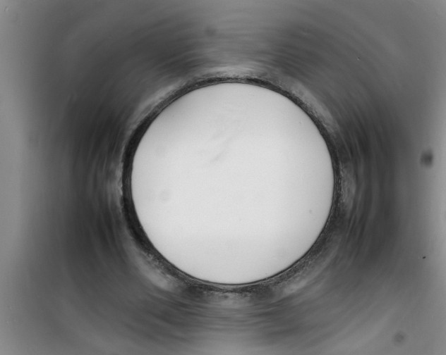 X0000100980486200807221237