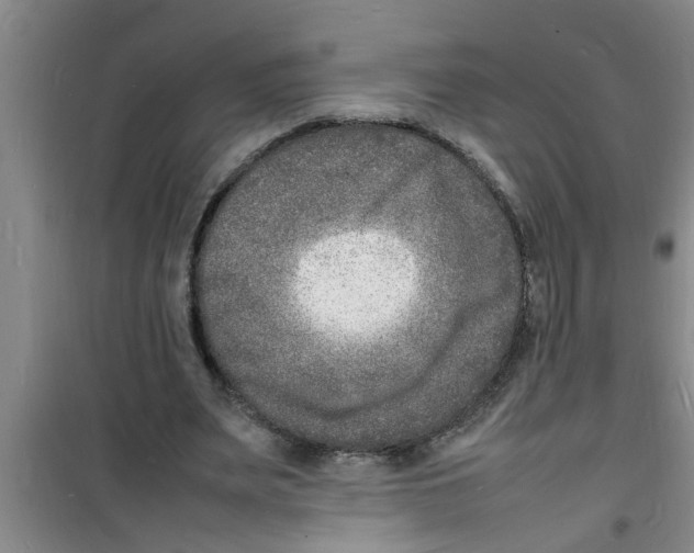 X0000100980487200807221237