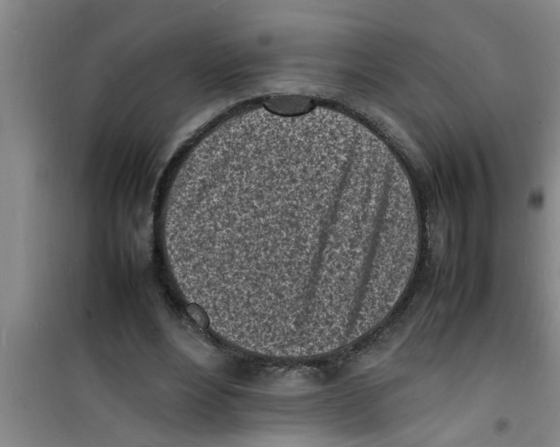 X0000100980488200807221237