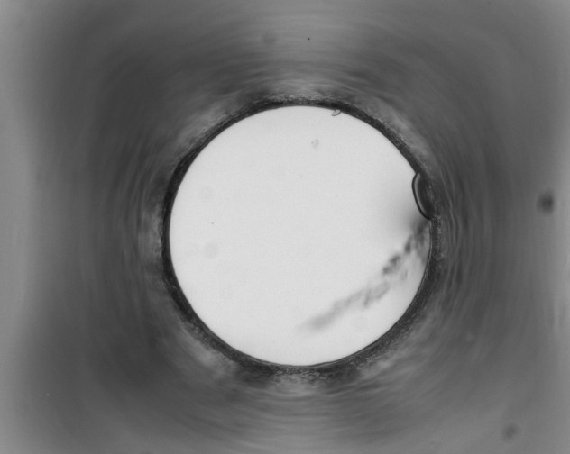 X0000100980489200807221237