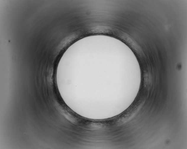 X0000100980490200807221237